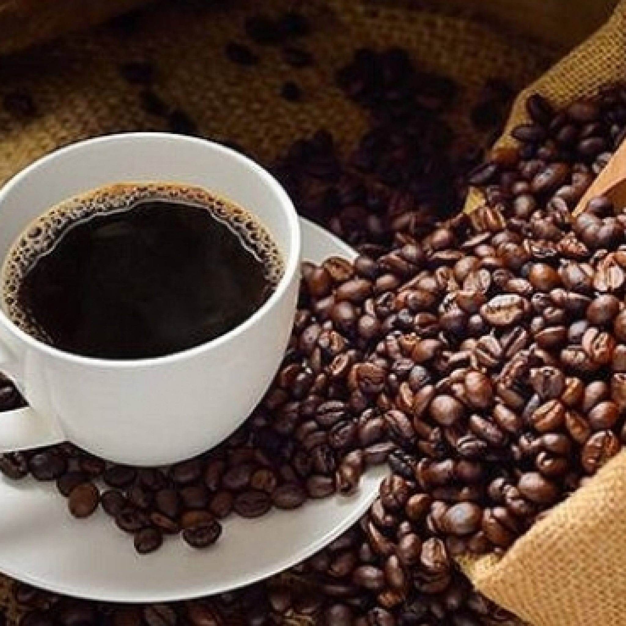 Venta de Café Colombiano Urabanegocios